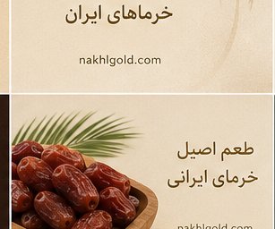 خرید خرما خشک و نیمه خشک | مقایسه انواع و قیمت