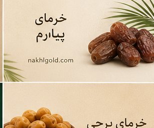 خرید خرما ارزان با کیفیت بالا | مستقیم از تولیدکننده